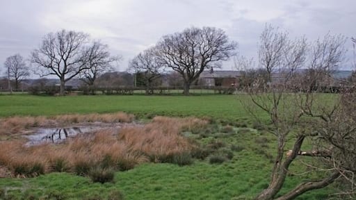 Field by Nightfield Gate