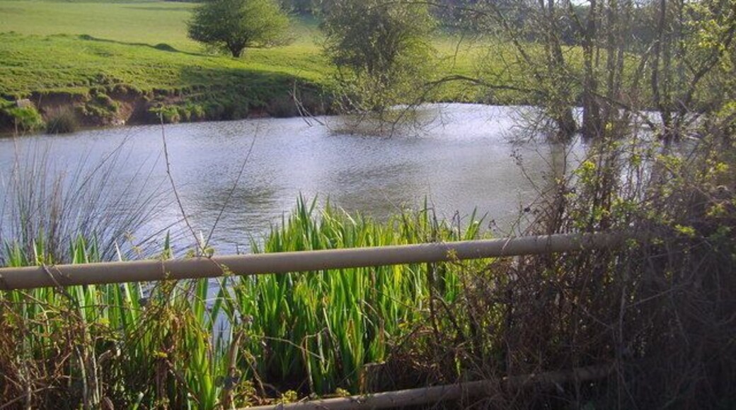 The Headwater of the River Nene This is the Headwater spring of the Daventry Nene on the North eastern slope of Arbury Hill. Arbury Hill is the Highest point of the county of Northamptonshire.