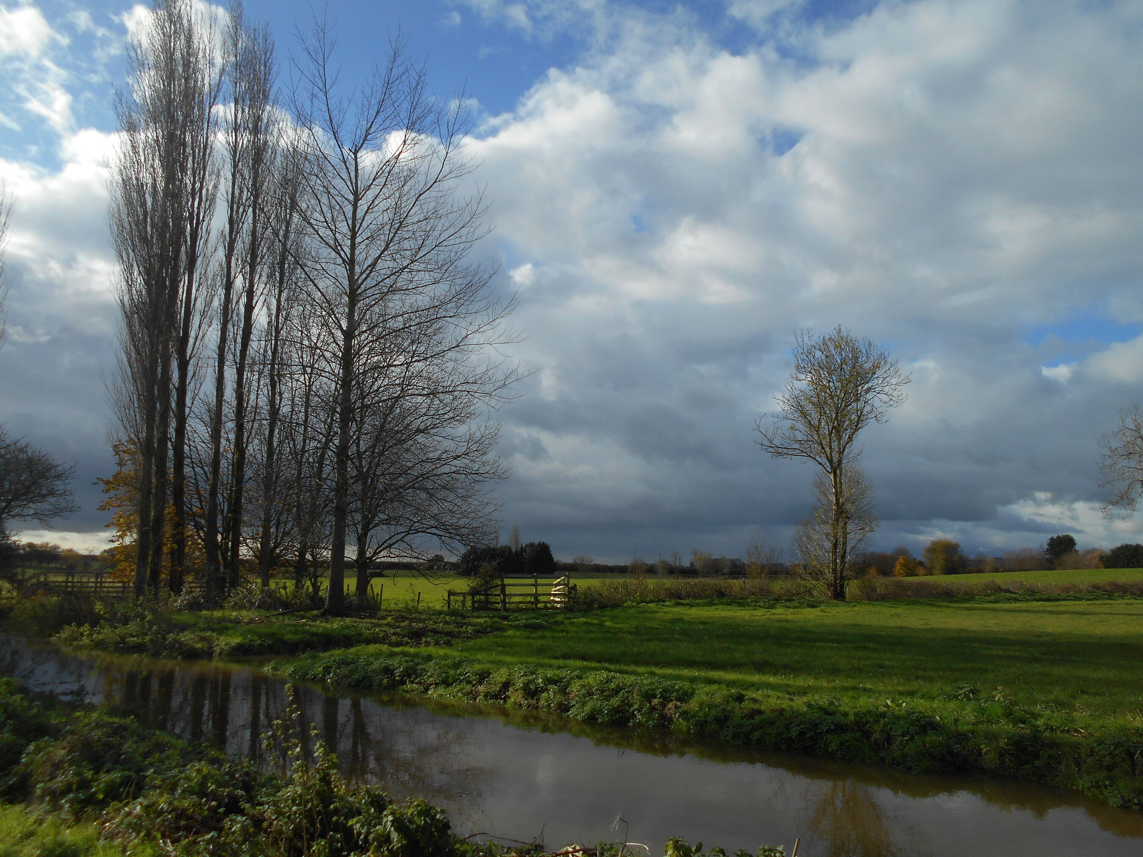 The River Cary, as it runs through a field just south of Babcary, Somerset.