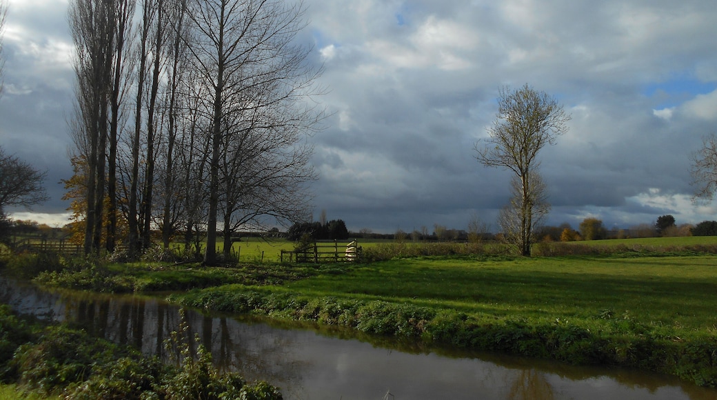 The River Cary, as it runs through a field just south of Babcary, Somerset.