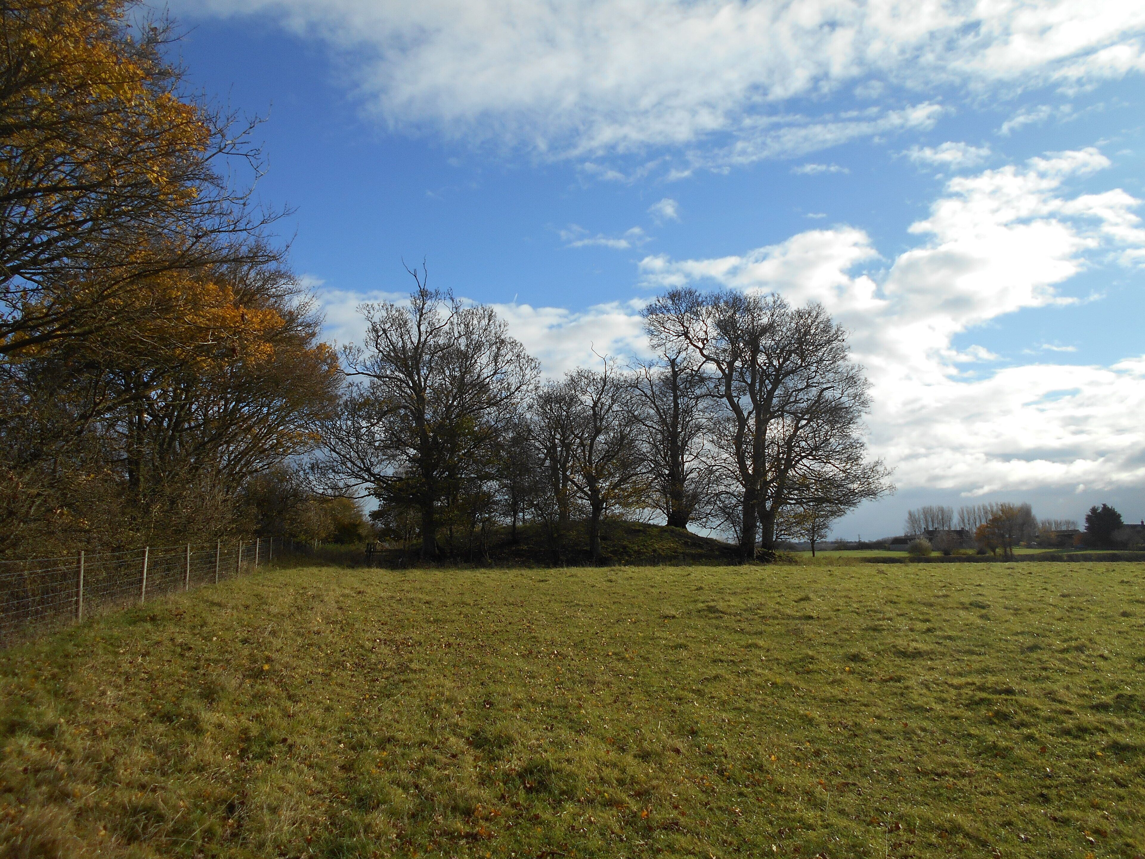 Un campo cubierto de césped, con árboles y un cielo despejado.