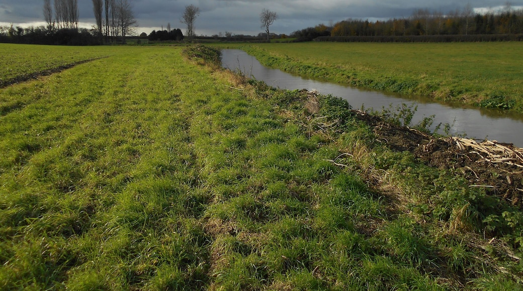 The River Cary, as it runs through a field just south of Babcary, Somerset.