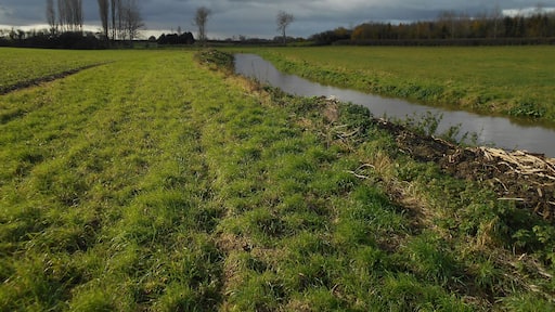 The River Cary, as it runs through a field just south of Babcary, Somerset.