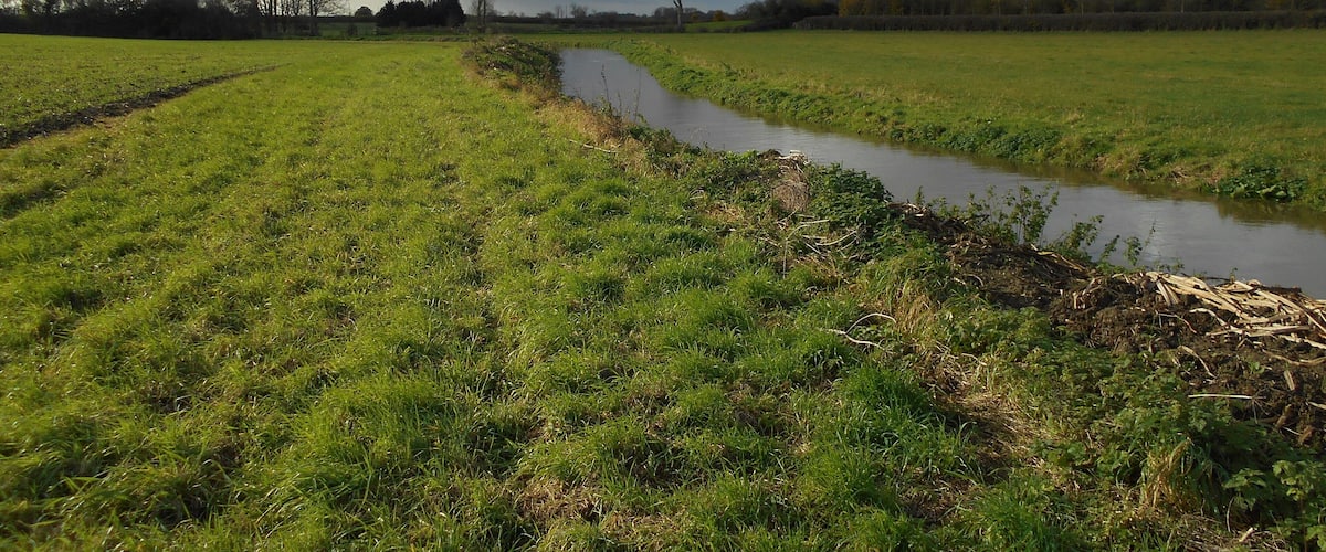 A rural landscape with a narrow water channel, green fields, and leafless trees under a cloudy sky.