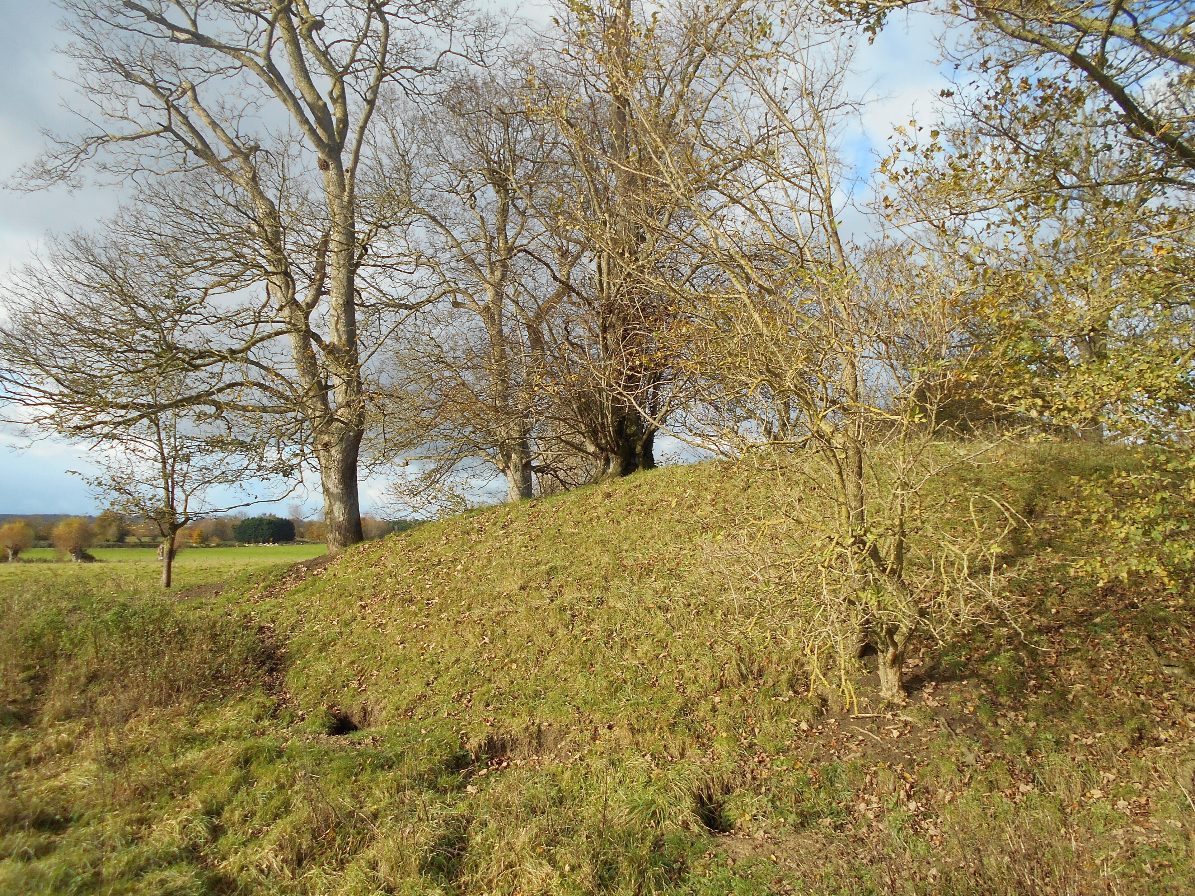 Wimble Toot, ancient earthwork near Babcary, Somerset.
