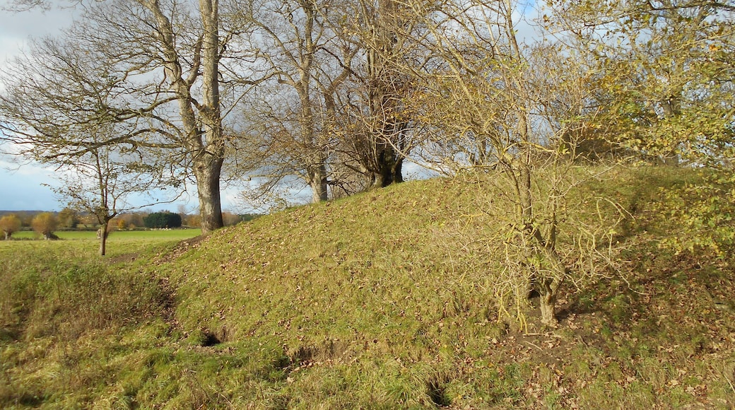 Wimble Toot, ancient earthwork near Babcary, Somerset.