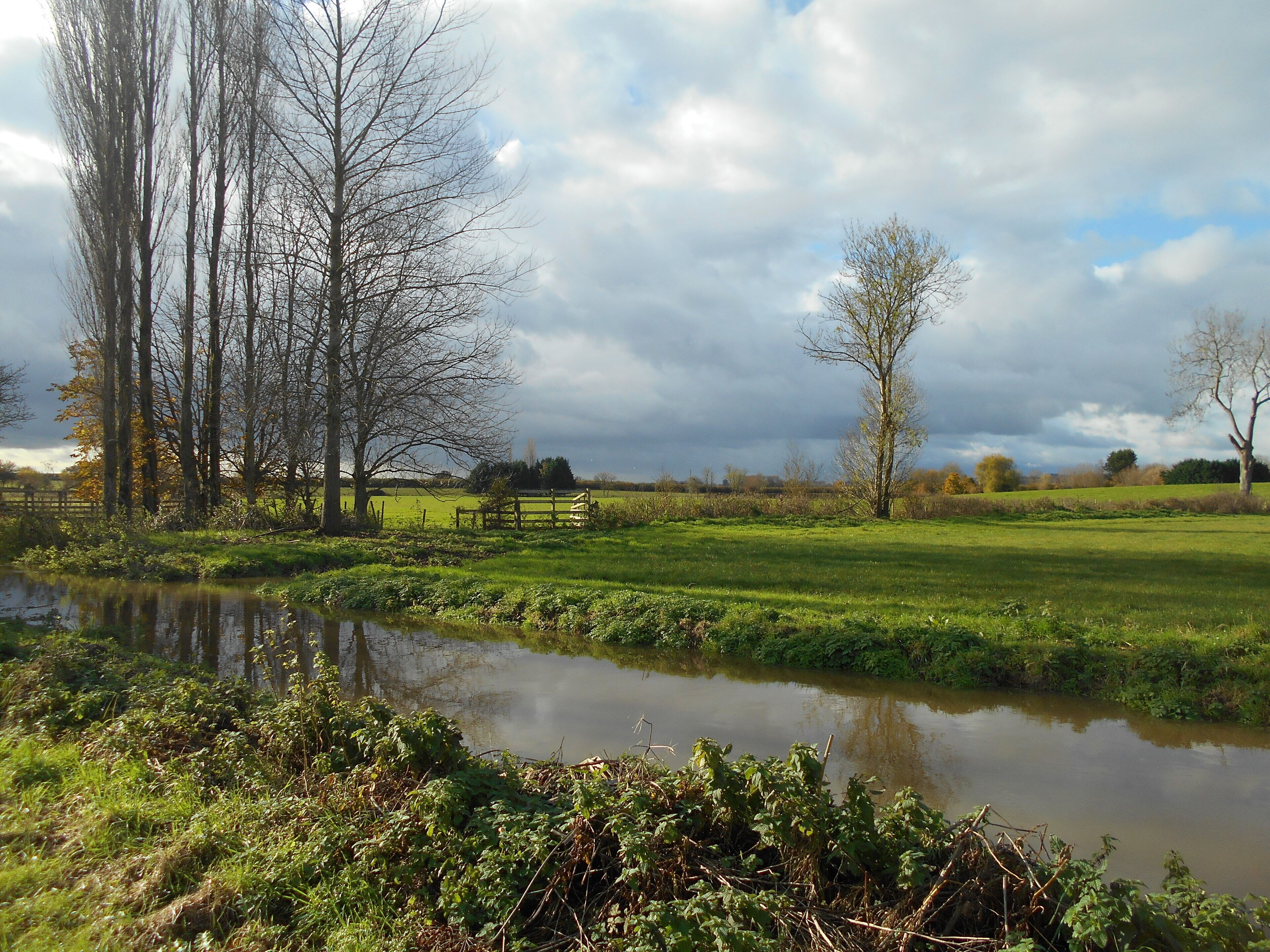 The River Cary, as it runs through a field just south of Babcary, Somerset.