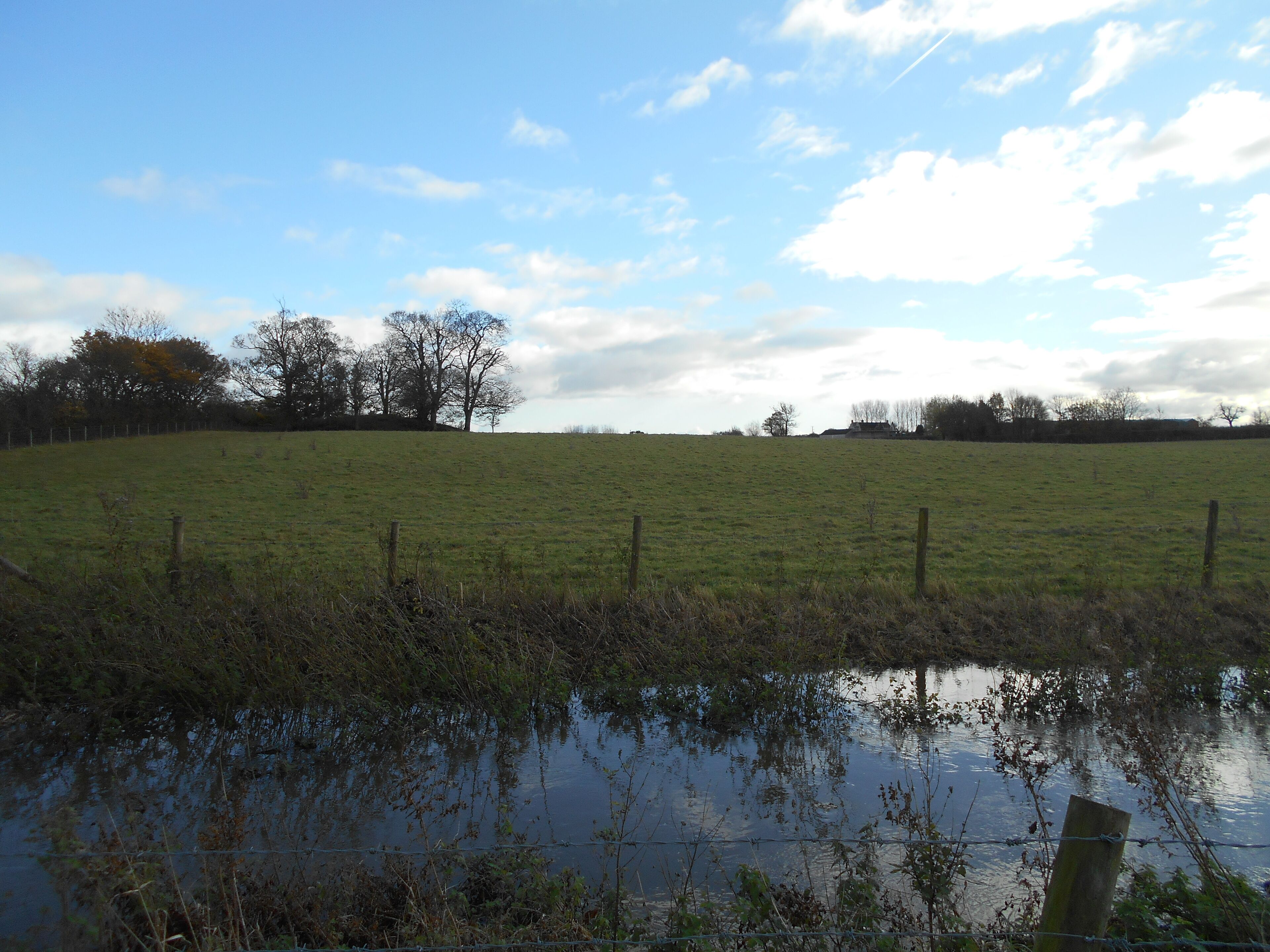 Wimble Toot, ancient earthwork near Babcary, Somerset.