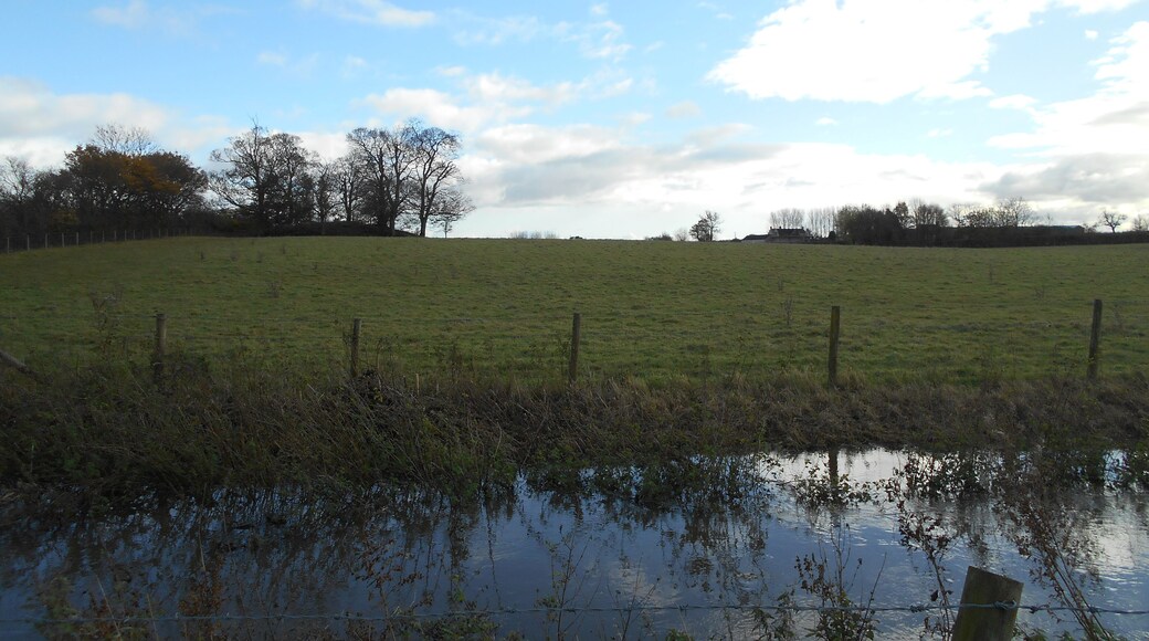 Wimble Toot, ancient earthwork near Babcary, Somerset.