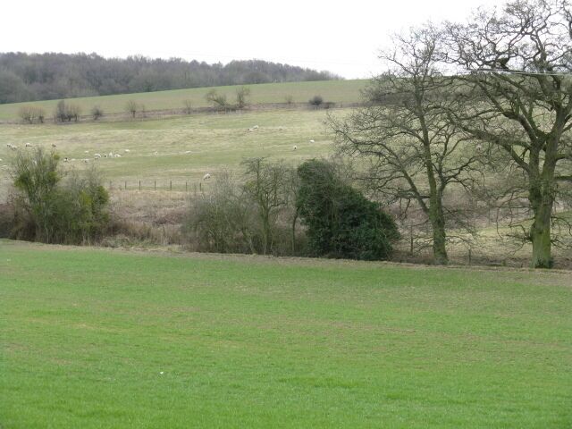 Fieldscape Near Croft Castle