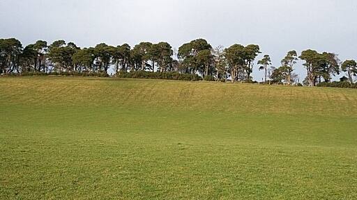 Ten Rood Hill (2) Looking uphill from above Mains of Drummuir.