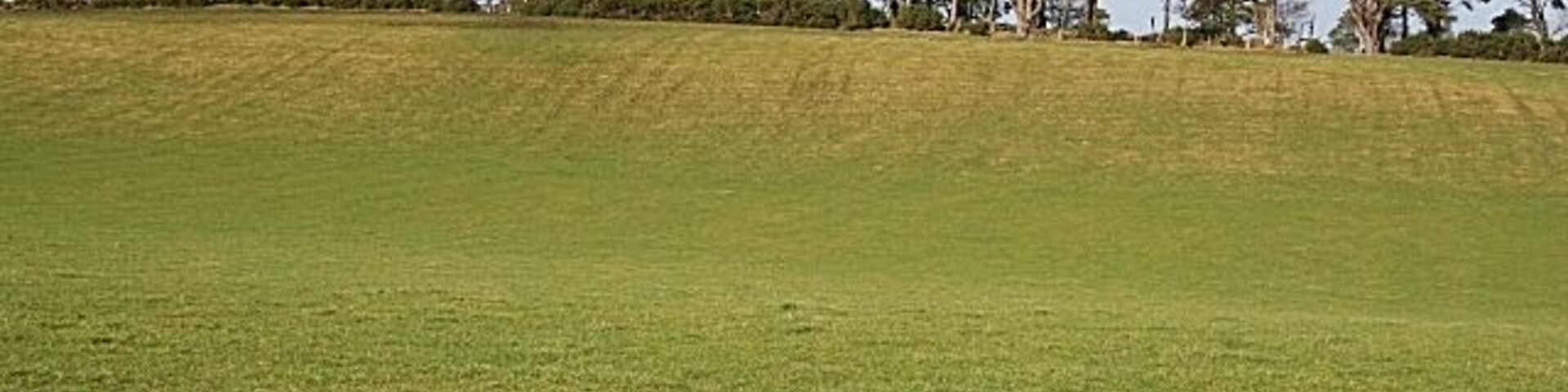 Ten Rood Hill (2) Looking uphill from above Mains of Drummuir.