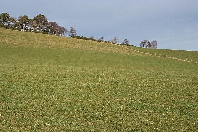Ten Rood Hill (3) Looking uphill from above Mains of Drummuir.
