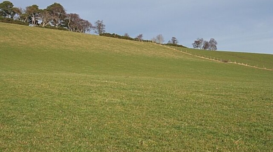 Ten Rood Hill (3) Looking uphill from above Mains of Drummuir.