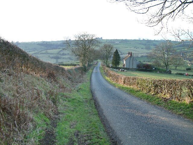 A narrow rural road flanked by fields and sparse vegetation.