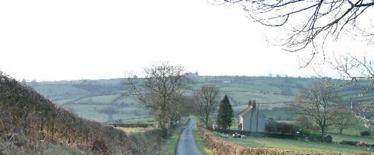A narrow rural road flanked by fields and sparse vegetation.