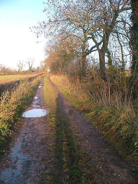 Ridge Lane. Walking towards Atlow from the Rough.