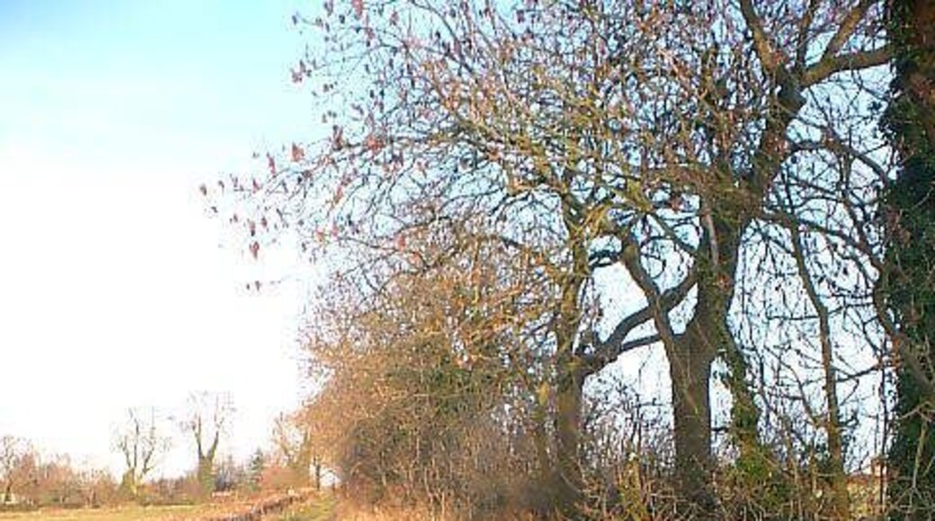 Ridge Lane. Walking towards Atlow from the Rough.