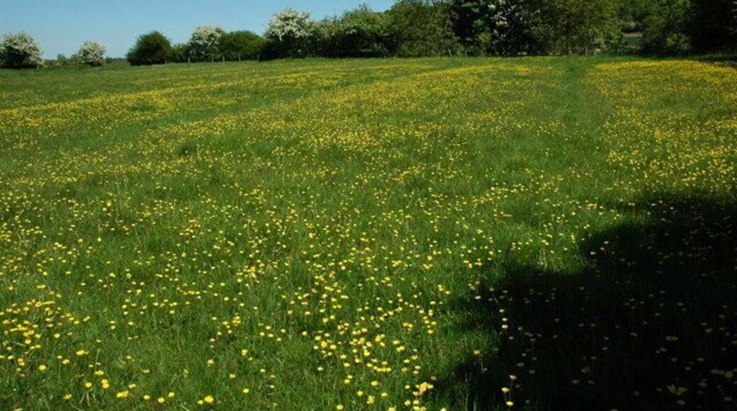 Field near Aston Cantlow