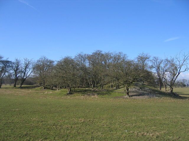 Mound. Looking north from the footpath to Broadlow Cottage, just north of Gipsy Hill Farm. The 1:25,000 OS map marks this apparently man-made mound. Although there is evidence of possible quarrying in the same square it is not obvious why this is here in this otherwise agricultural setting.