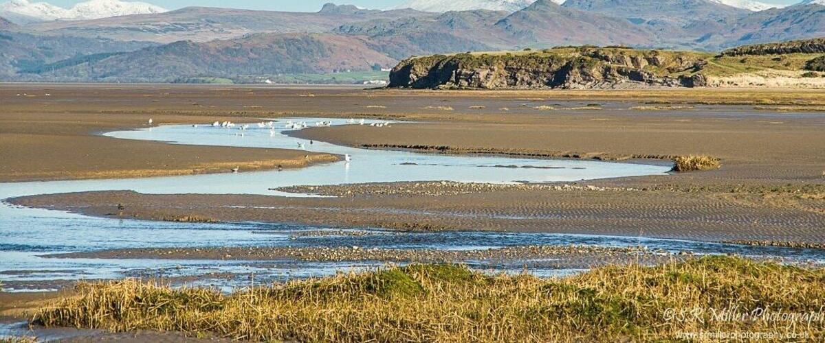 A coastal landscape with a river meandering through a flat terrain, leading to a rocky outcrop with snow-capped mountains in the background.