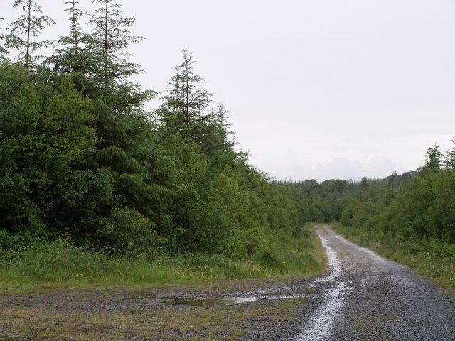 Quoditchmoor Plantations The scene at a crossroads of rides in this large area of accessible woodland. On the left is a turning circle.