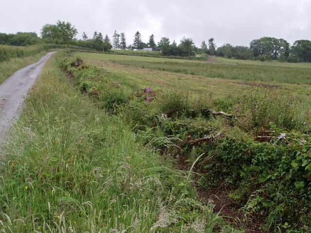 Approaching Muckworthy Taken in appropriately filthy weather. The lane from Clawmoor is crossing a shallow valley towards the hamlet.