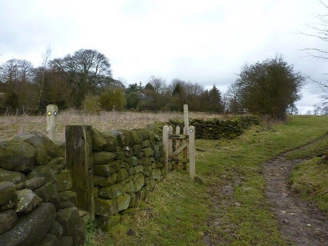 Where two paths meet Just south of Hardwick Farm, near Kelstedge. Gritstone walls and a cottage barely visible in the trees