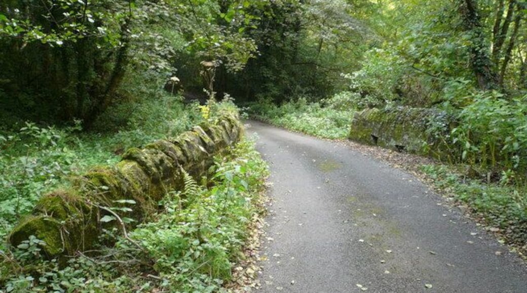Robridding Lane Bridge over Hodgelane Brook.