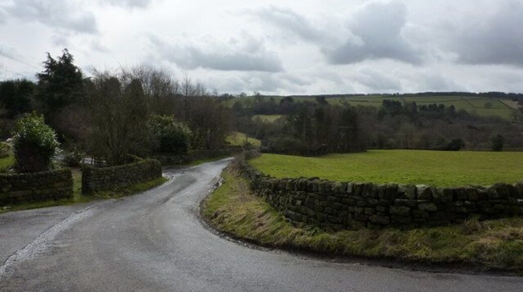 Oaks Lane at Brockhurst Farm A sharp bend in the road. Looking south, and nearing the bottom of the valley, where the thin strip of woodland has a stream running through, Hodgelane Brook