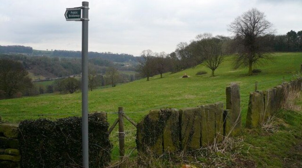 Public Bridleway Sign near Back Lane Slab fence can clearly be seen. 342945 342948