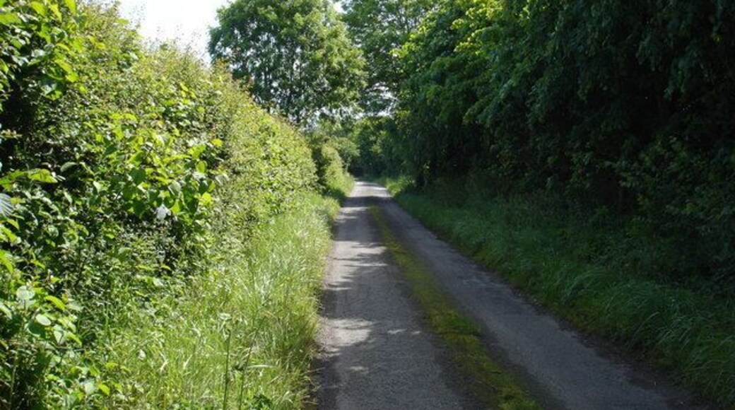 Thomson's Lane