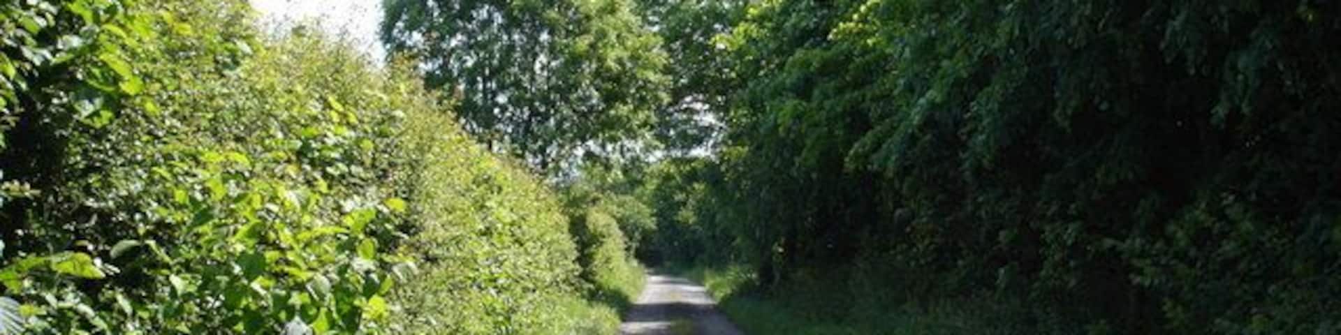 Thomson's Lane