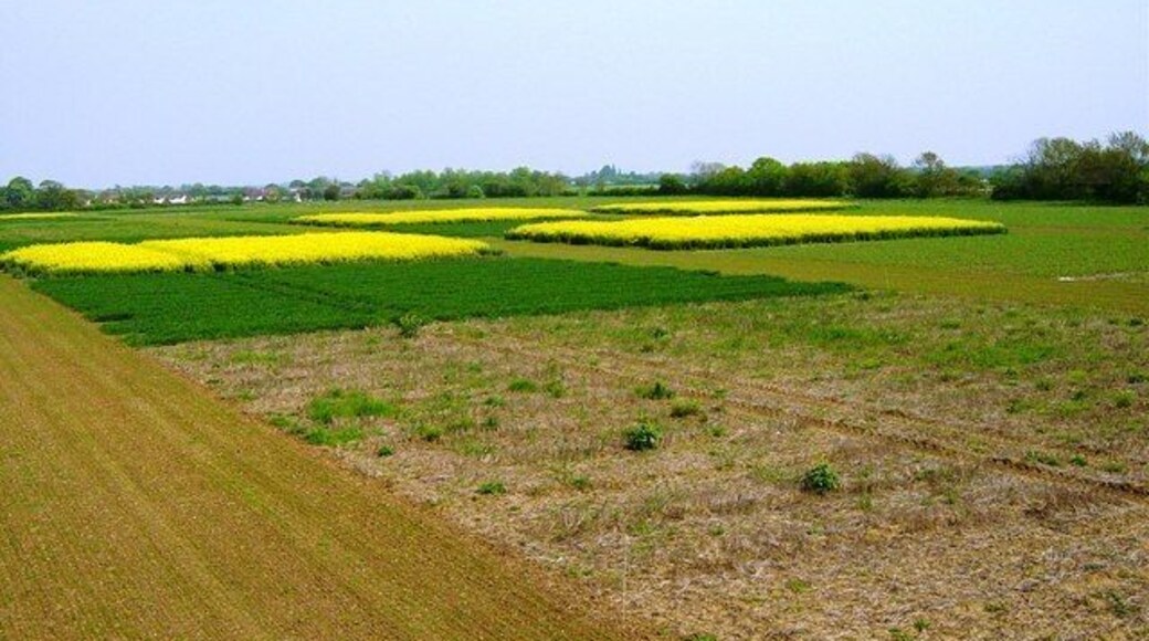 Crop Trials in 'Nelson' field Crop Trials being undertaken between 2005-2010 in conjunction between 'The Arable Group' and 'The Felix Thornly Cobbold Agricultural Trust'