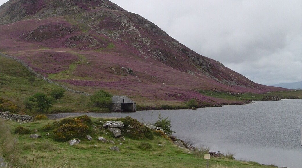 Cregennan lakes above the tiny village of Arthog on the way up to Cadair Idris