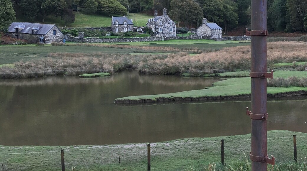 The complete spectrum of habitats. So much to see on the Mawddach Trail from Arthog.