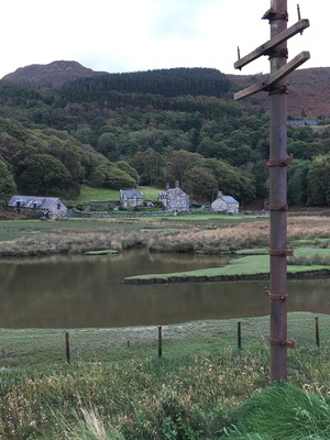 The complete spectrum of habitats. So much to see on the Mawddach Trail from Arthog.