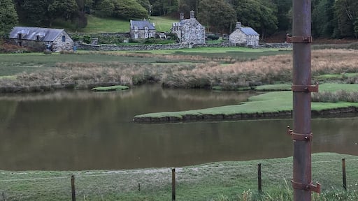 The complete spectrum of habitats. So much to see on the Mawddach Trail from Arthog.