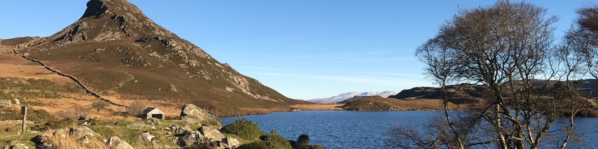 Fresh in the Welsh Hills today.