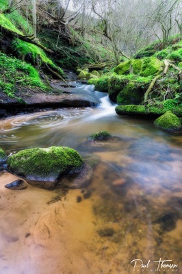 Great little stream that I pass everyday and I thought I must have a look over this little bridge which crosses this stream. Glad I did what a little gem!!!
#stream
#uk
#hiking
#landscape