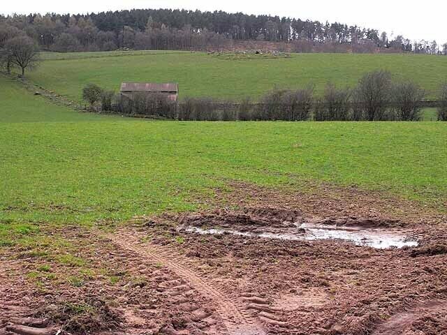 Farmland near Armathwaite Seen from the Ainstable to Armathwaite road. Coombs Wood on the crest.