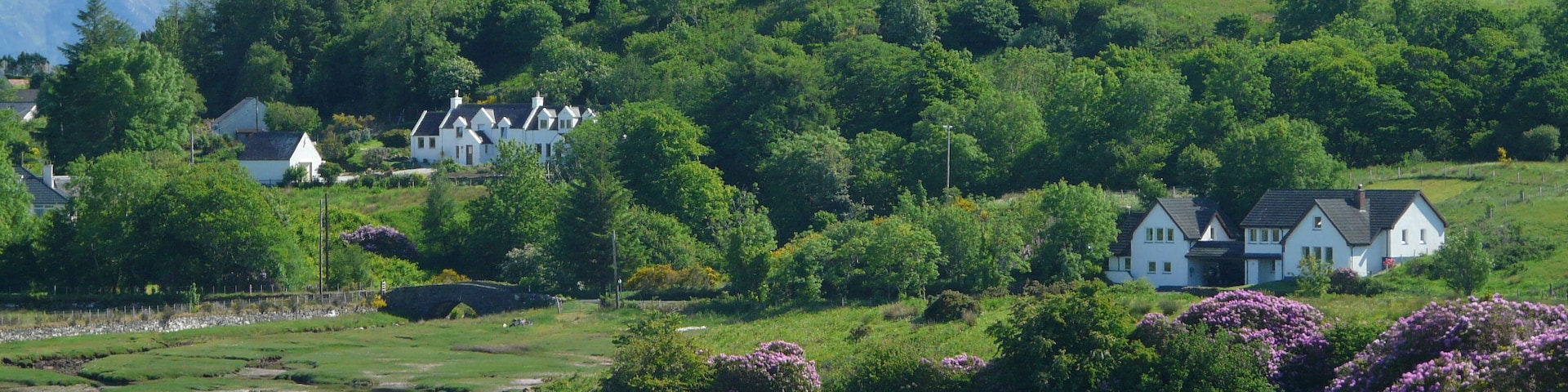 Summer Skye. 2