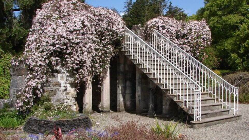 A stone staircase with white railings leading up to a stone archway, surrounded by blooming cherry trees.