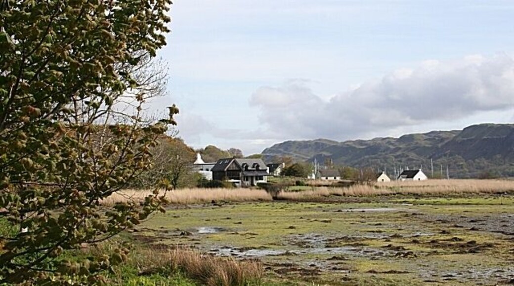 Ardfern The low tide has left a wet, seaweedy expanse of muddy sand in this bay south of Ardfern. The houses and some of the masts in the marina are visible beyond.
