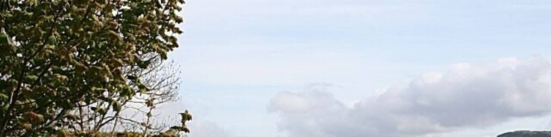 Ardfern The low tide has left a wet, seaweedy expanse of muddy sand in this bay south of Ardfern. The houses and some of the masts in the marina are visible beyond.