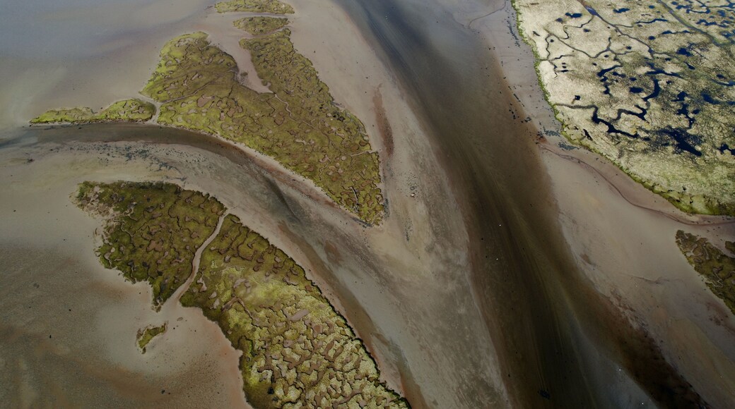Een kustlandschap met slikken, zeewierengeulen en een zandstrand.