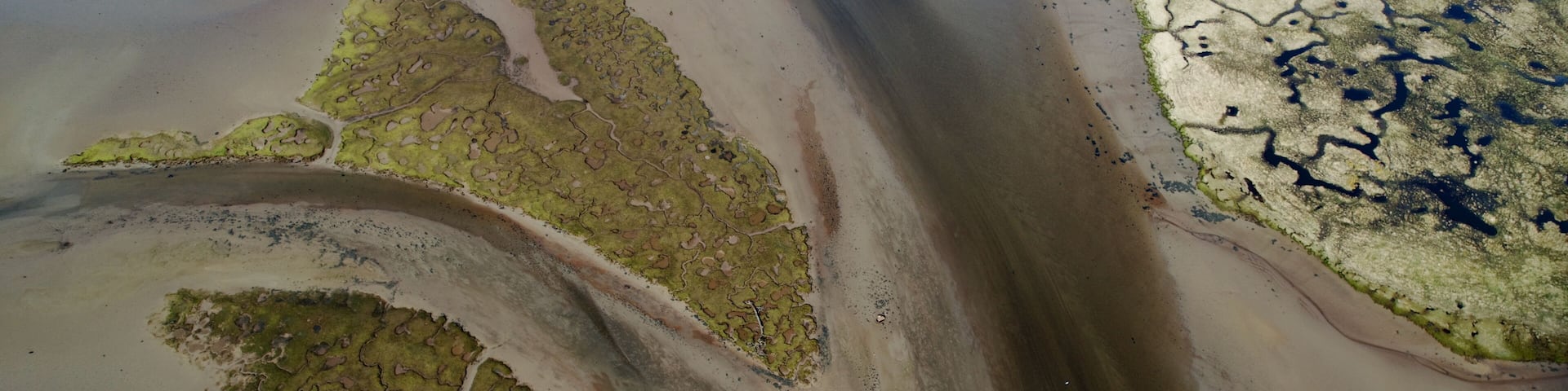 A coastal landscape with tidal flats, salt marshes, and a sandy beach.