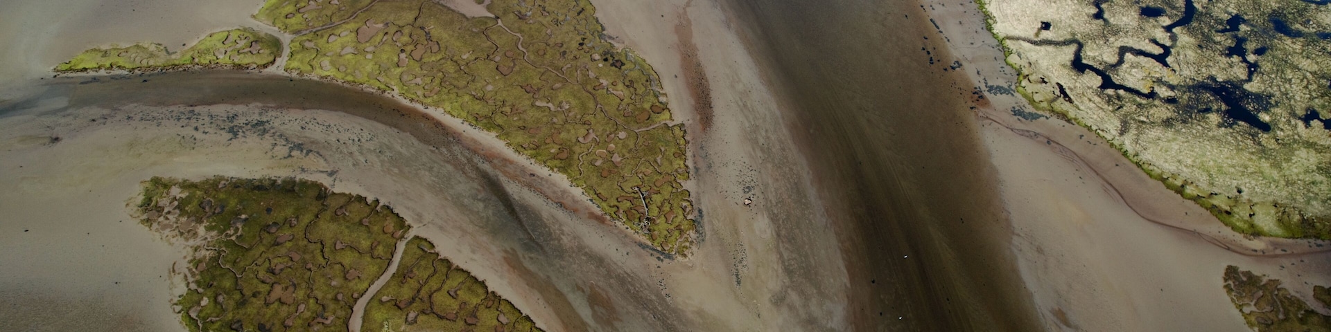 Un paisaje costero con llanuras de marea, marismas saladas y una playa arenosa.