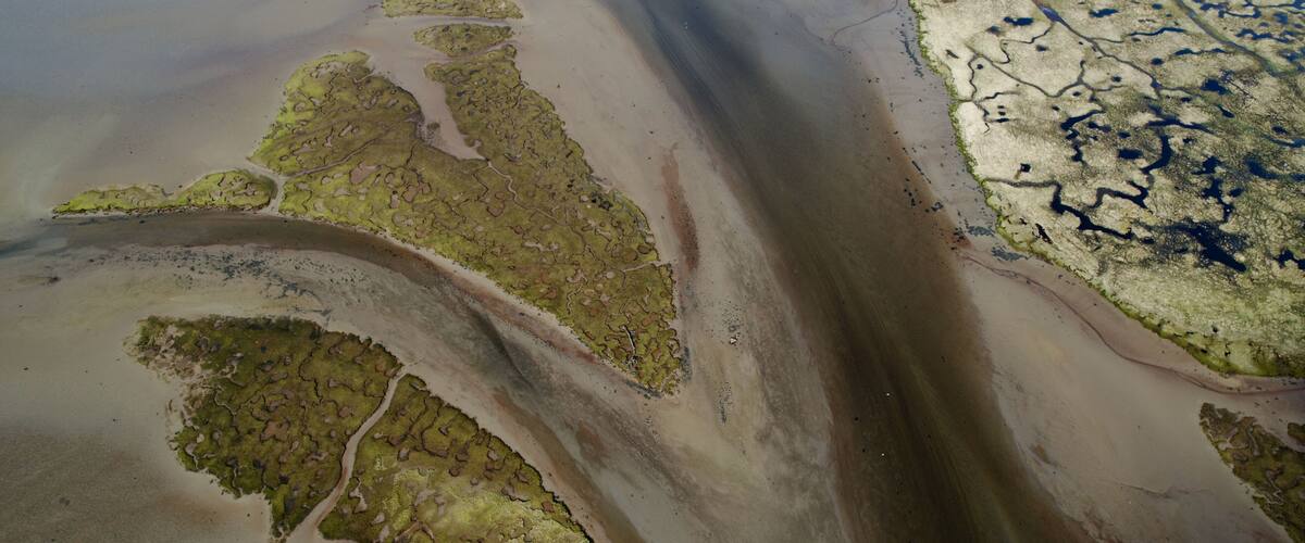 A coastal landscape with tidal flats, salt marshes, and a sandy beach.