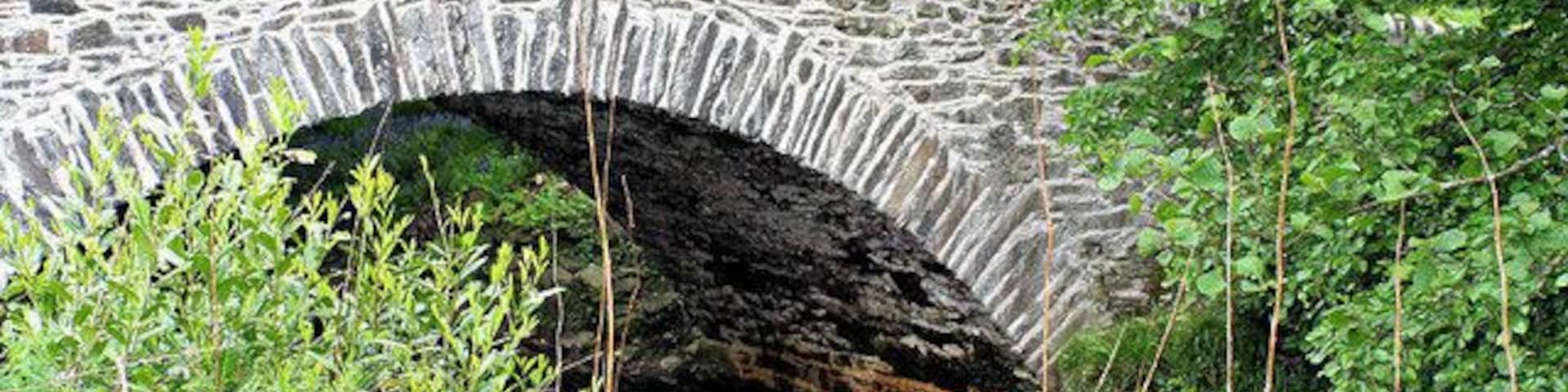 Barnacabber Bridge Spanning Glen Finart Burn Glen Finart,near to Ardentinny, Argyll